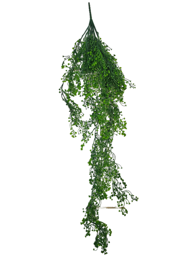 شۆرەبی