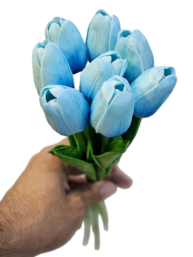 گولی تولیب