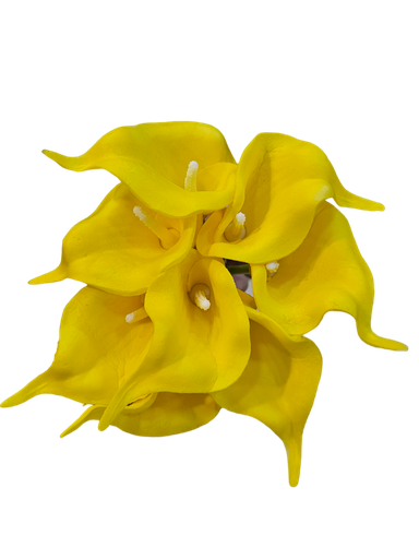 گولی گالە