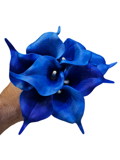 گولی گالە