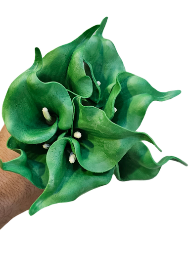 گولی گالە