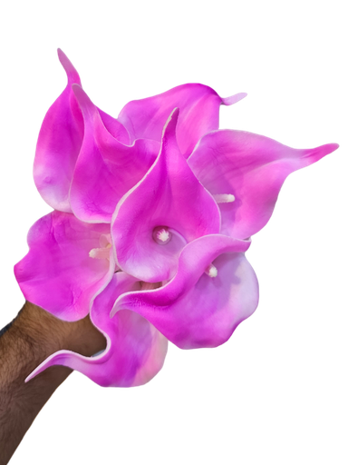 گولی گالە