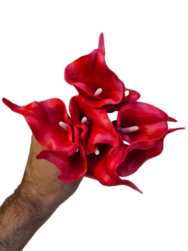 گولی گالە
