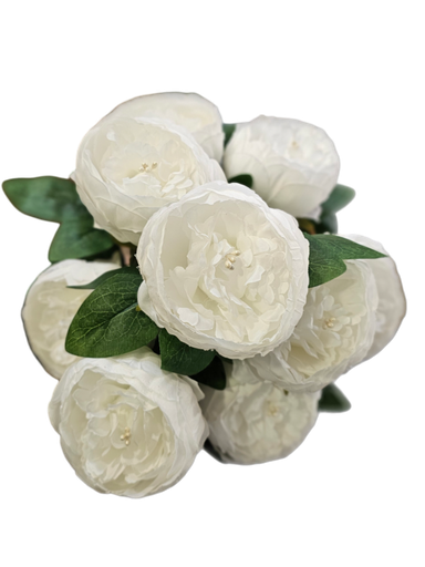 گوڵی تەماتە