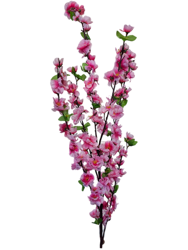 تاکی مێخەک