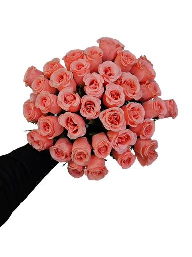 گوڵی 36 شاخ