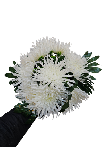 گوڵی 30 شاخ 