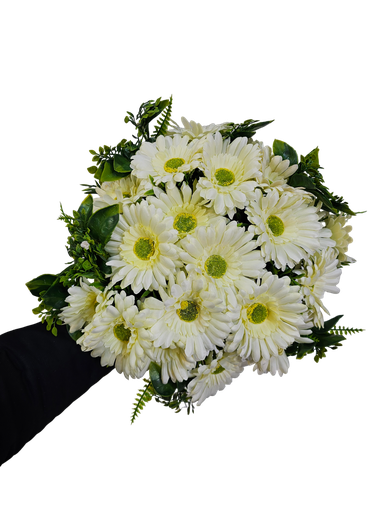 sunflower off white