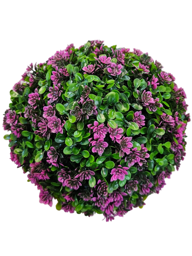 تۆپی سەوز گەورەترین