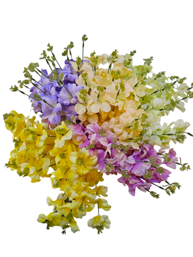 گوڵ 