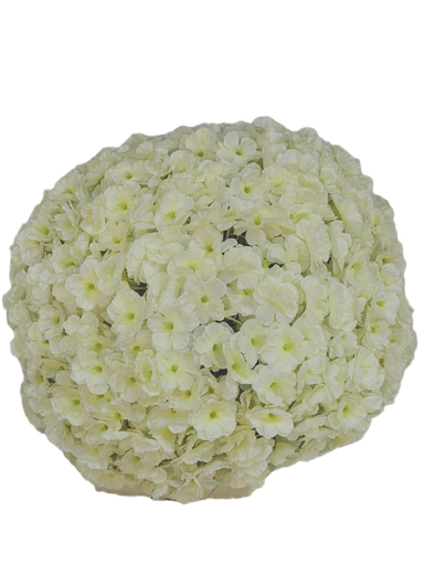 تۆپی گوڵ