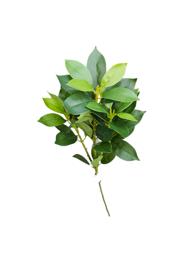 چەپکی سەوز