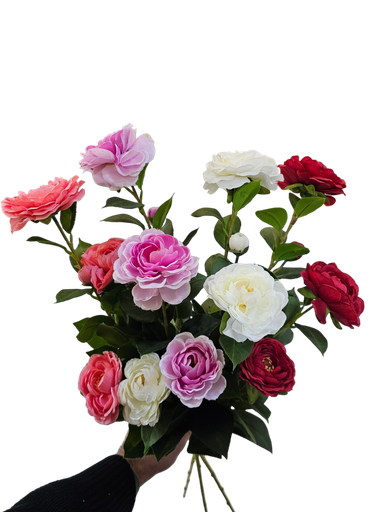 چەپکی سەوز