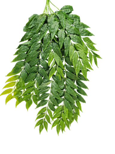 چەپکی سەوز