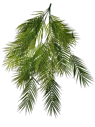 شۆرەبی