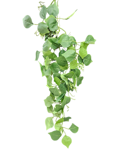 شۆرەبی