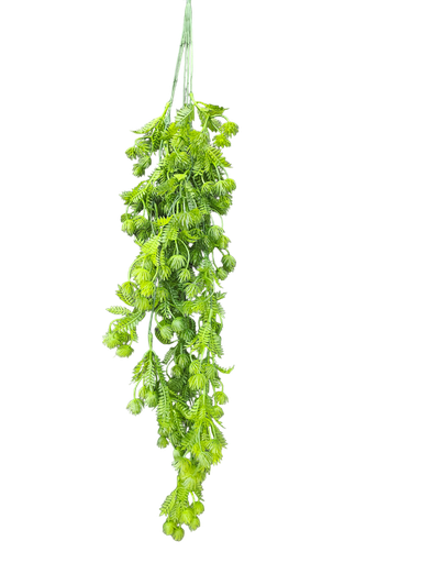 شۆرەبی