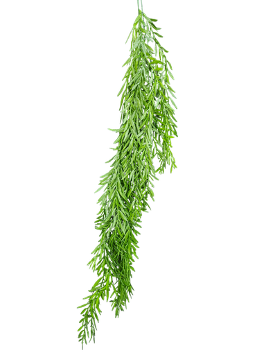 شۆرەبی