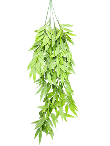 شۆرەبی