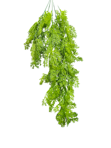 شۆرەبی