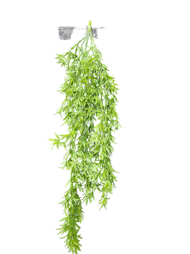 شۆرەبی
