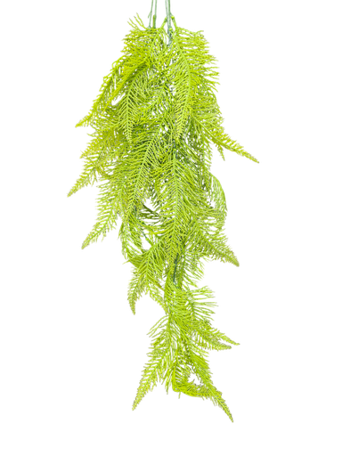 شۆرەبی