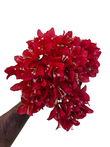 چەپکی جەهەنەمی سور