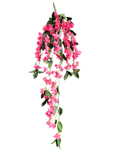 جەهەنەمی شۆر