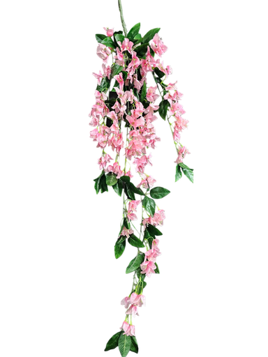 جەهەنەمی شۆر