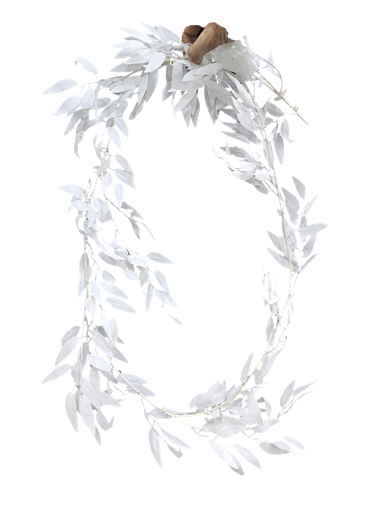 پەلکی الوان