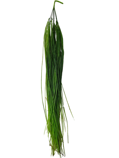 شۆڕەبی