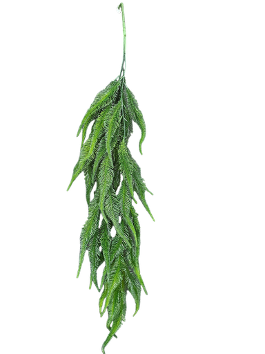 شۆڕەبی