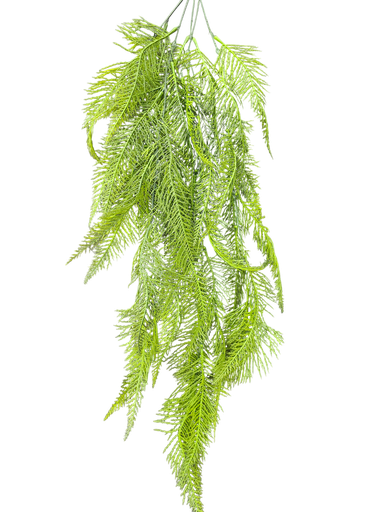 شۆڕەبی