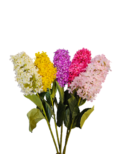 تاکی لاڤندەر بچوک