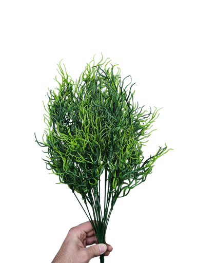 چەپکی سەوز