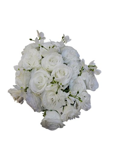 گوڵی 30 شاخ ئوفوایت