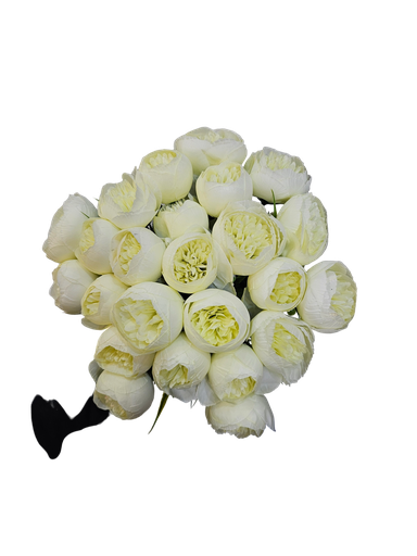 گوڵی تەماتە 30 شاخ
