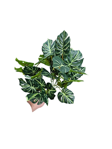 چەپکی سەوز