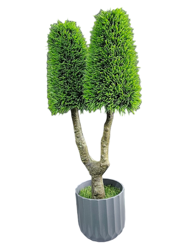 دار سنۆبەر