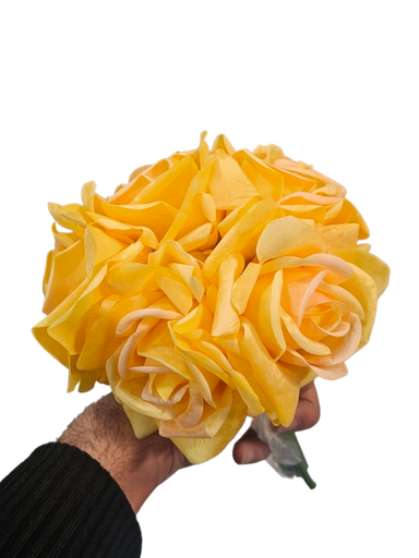 چەپکی رۆز