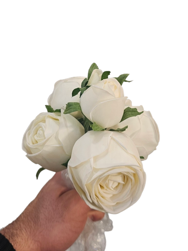 چەپکی رۆز