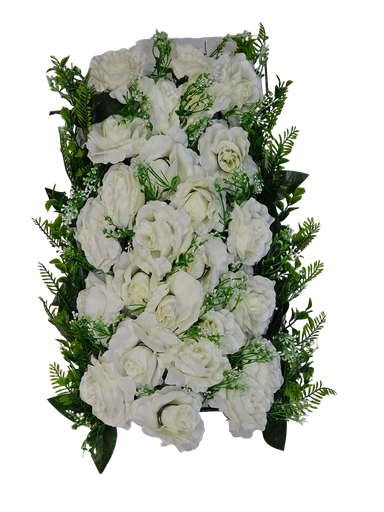 گوڵی بۆڕی
