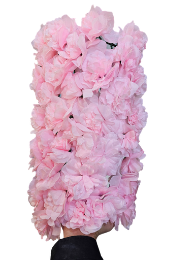 گوڵی بۆڕی