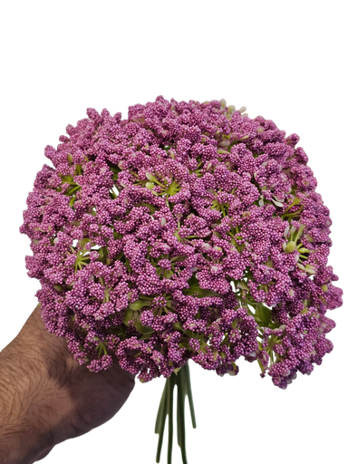 چەپکی دەستی بووک