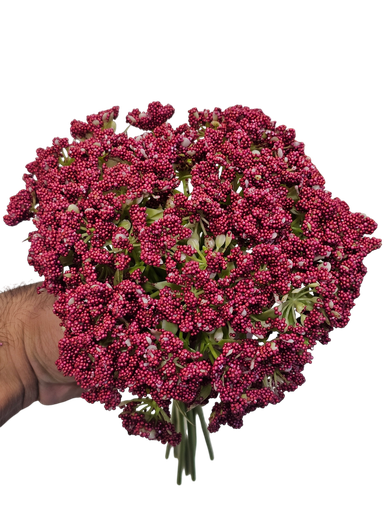 چەپکی دەستی بووک