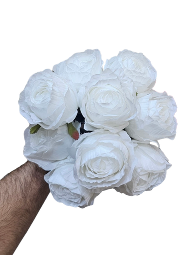 رۆز سپی