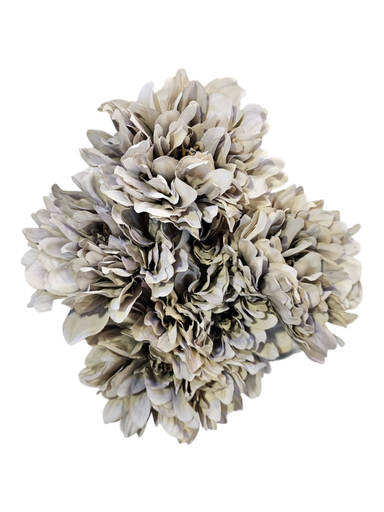 گوڵی رصاصی