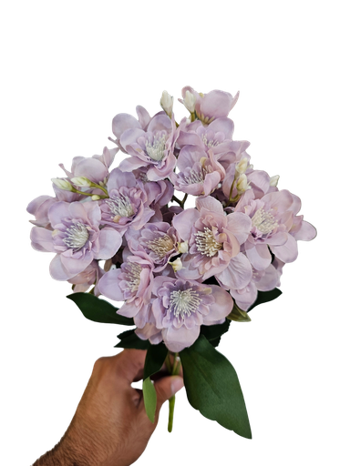 گولی سپی