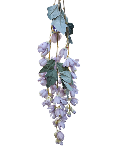 تاکی مۆر