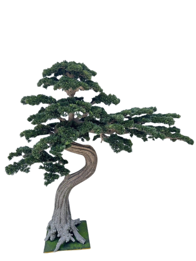 شجرە بونسای